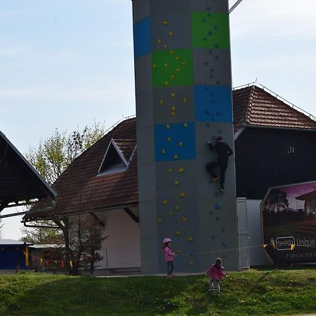 Borovnica Catez Apartamento Catez ob Savi Exterior foto