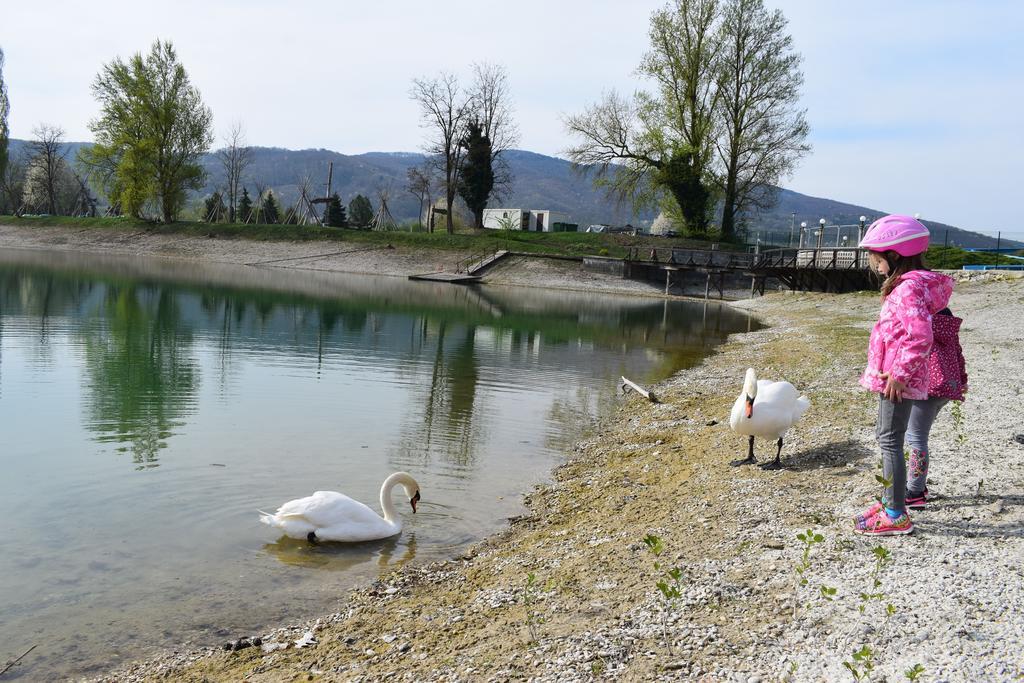 Borovnica Catez Apartamento Catez ob Savi Exterior foto