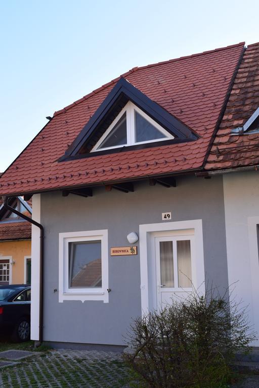 Borovnica Catez Apartamento Catez ob Savi Exterior foto