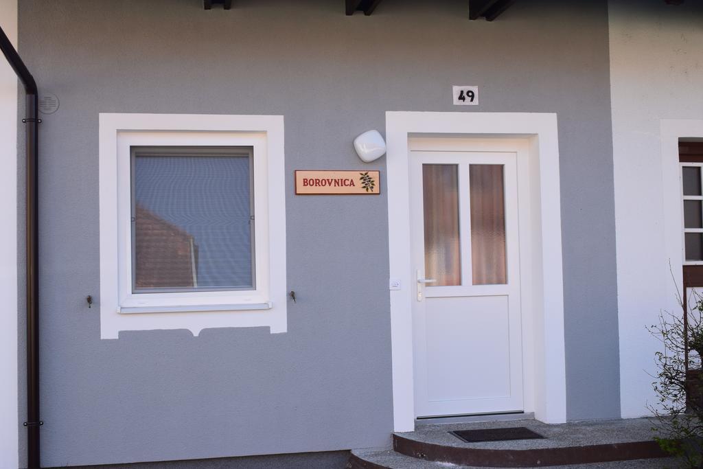 Borovnica Catez Apartamento Catez ob Savi Exterior foto